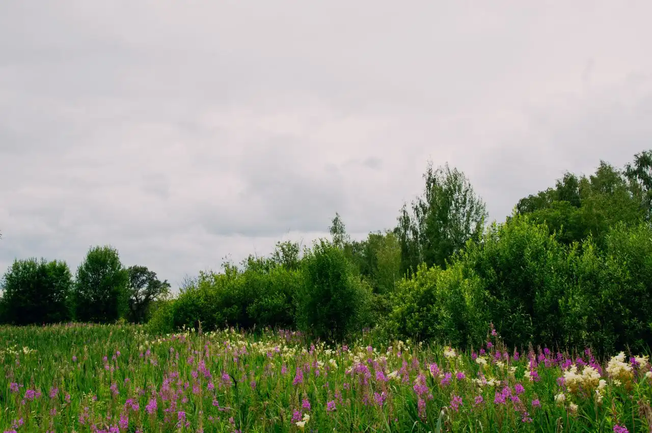 A log pile and a messy garden border, close and domestic backyard habitat