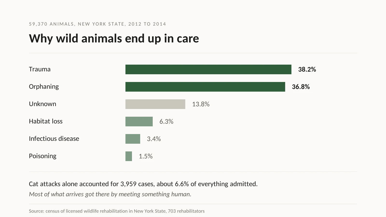 Why Wild Animals End Up In Care